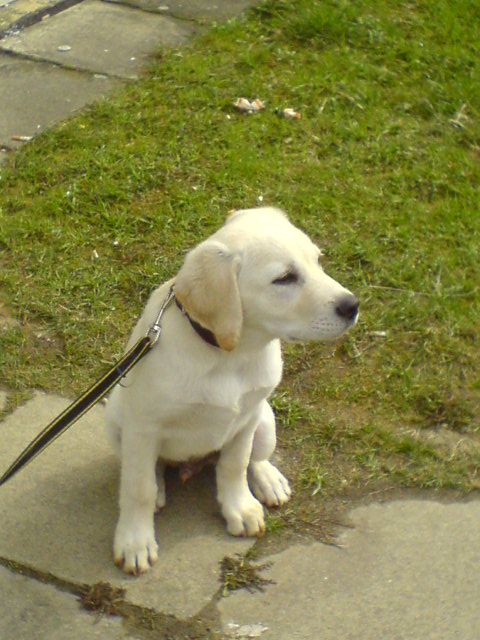 Max2
