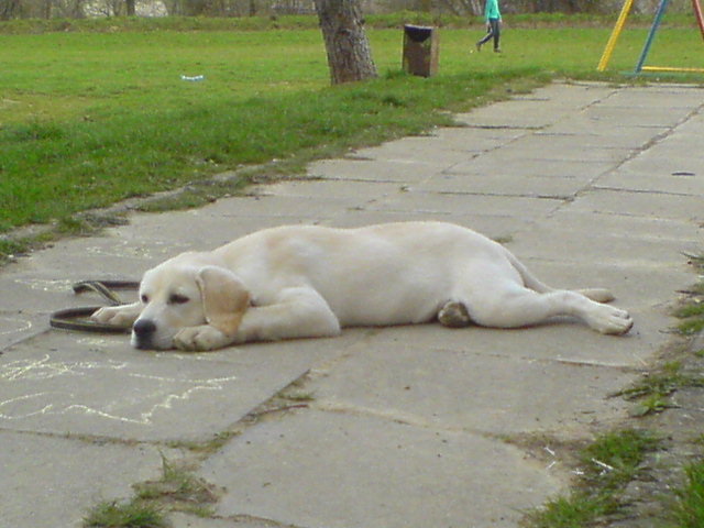 Max5